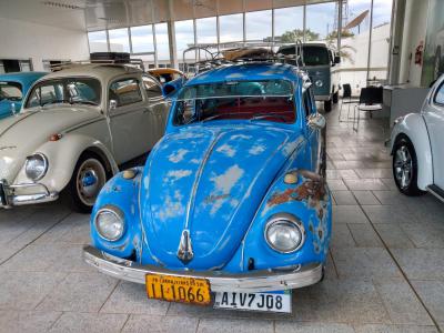 Hoje Ã© o Dia Nacional do Fusca